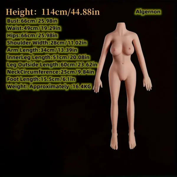 Life Size Sex Doll Torso – Best Life Size Sex Doll Torso