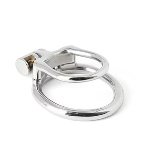 imgi_31_steel-the-coach-training-ring-670776_300x
