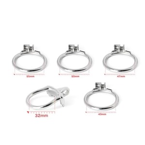 imgi_33_steel-the-coach-training-ring-815031_300x