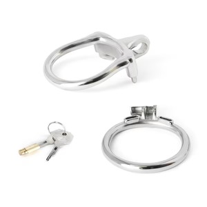 imgi_35_steel-the-coach-training-ring-433672_300x