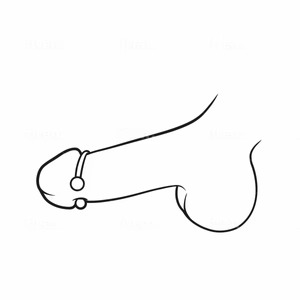 imgi_36_penis-ring-2-pressure-balls-632788_300x