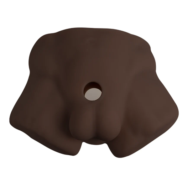 Premium Interchangeable Torso - Customizable Silicone Pleasure System