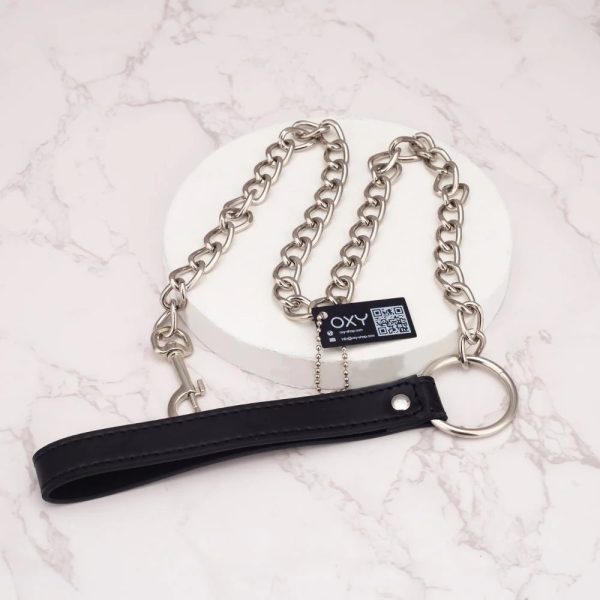 Dominance Redefined: Premium Metal Leash for Chastity Play - Heavy-Duty HTV4 & BDSM Accessory