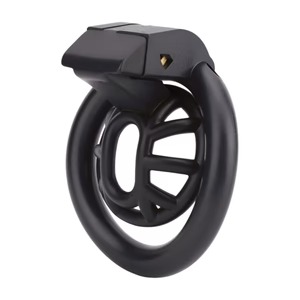 imgi_33_inverted-teeny-3d-printed-chastity-device-697839_300x