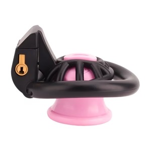 imgi_34_inverted-teeny-3d-printed-chastity-device-734086_300x
