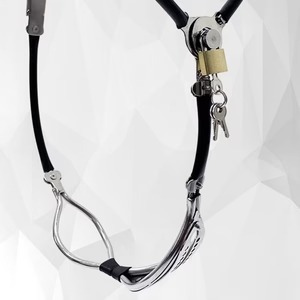 imgi_39_female-chastity-belt-canopus-491680_300x