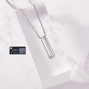imgi_45_locklet-discreet-chastity-key-necklace-803534_300x