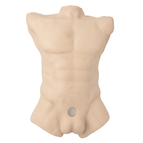 Luxury Interchangeable Male Torso - Premium Realistic Silicone with Modular Dildo System